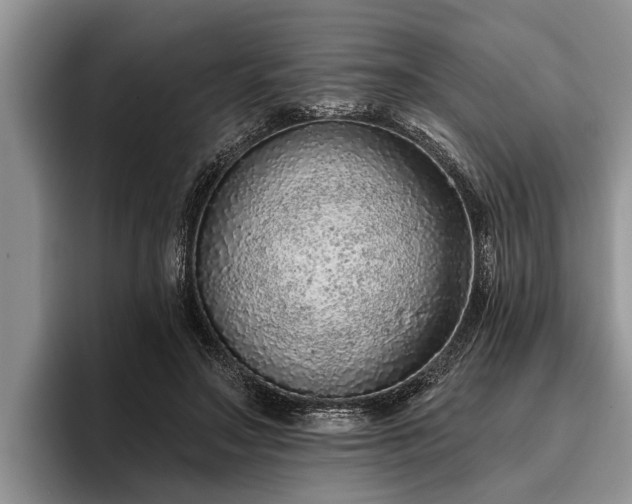 X0000095880499200801181208