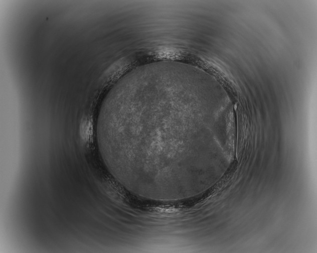 X0000095880502200801181208