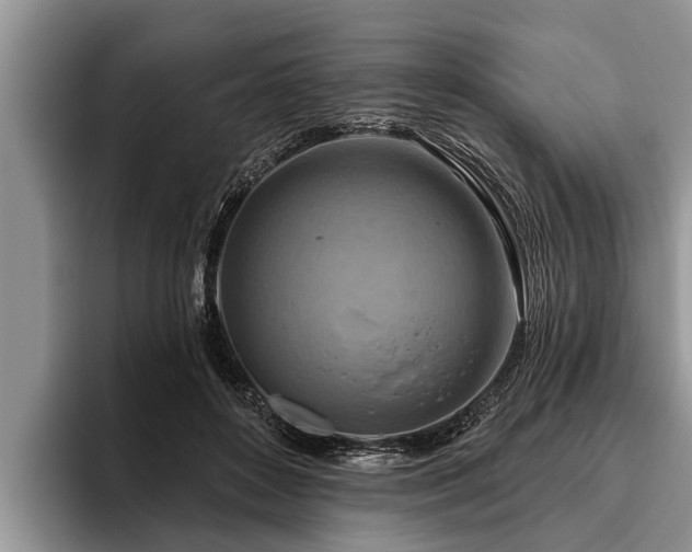 X0000095880504200801181208