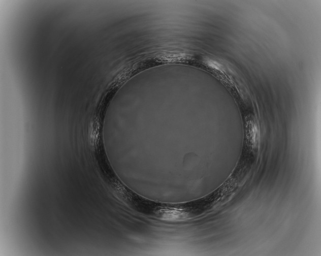 X0000095880507200801181208