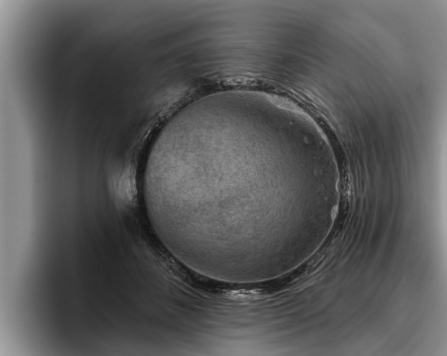 X0000095880508200801181208