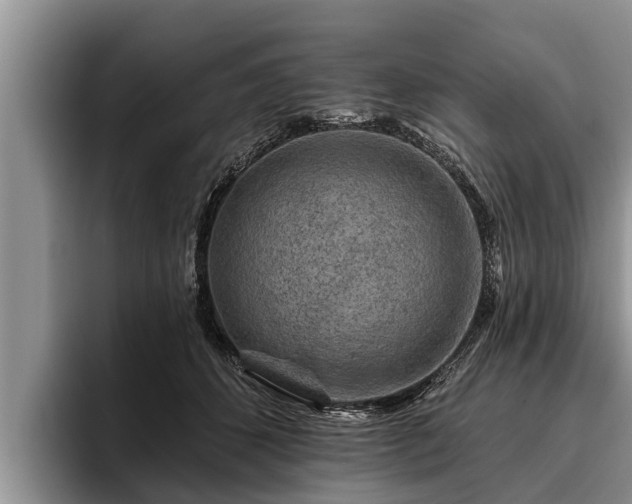 X0000095880512200801181208