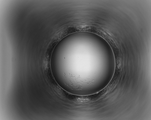 X0000095880515200801181208