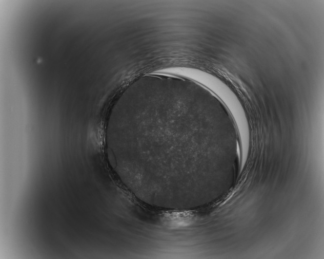 X0000095880517200801181208