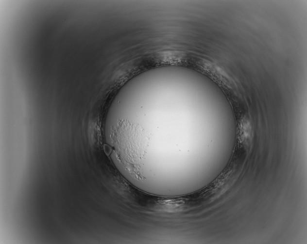 X0000095880522200801181208
