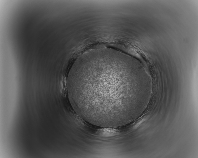 X0000095880528200801181208