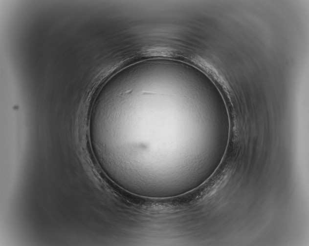 X0000095880529200801181207