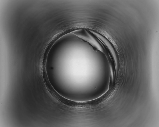 X0000095880530200801181207