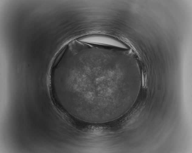 X0000095880531200801181207
