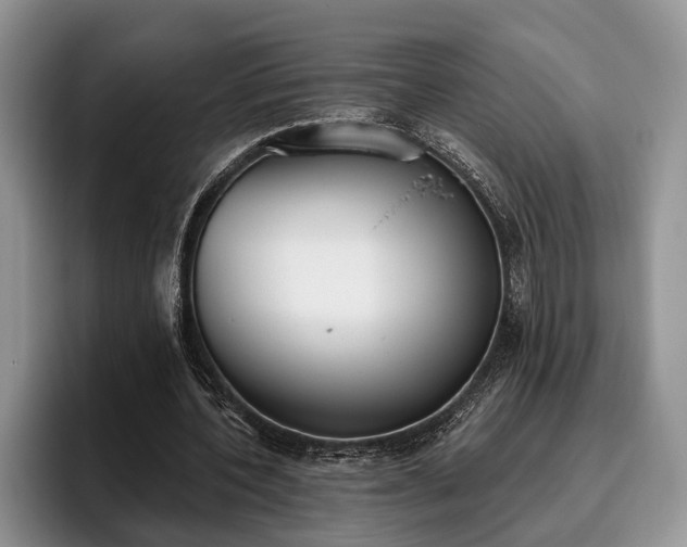 X0000095880532200801181207