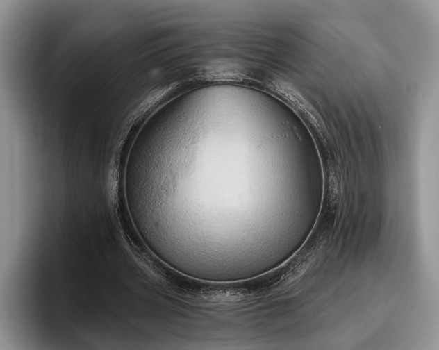 X0000095880533200801181207