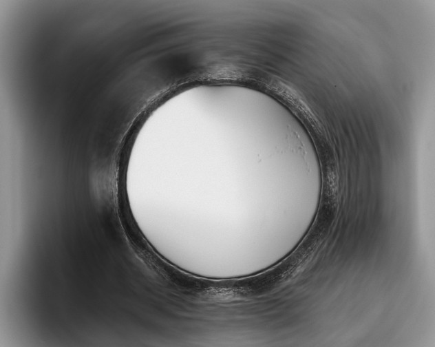 X0000095880534200801181207
