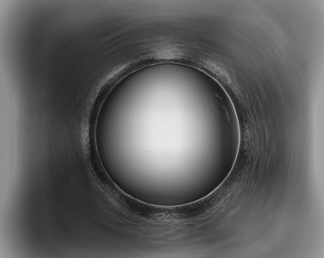 X0000095880535200801181207