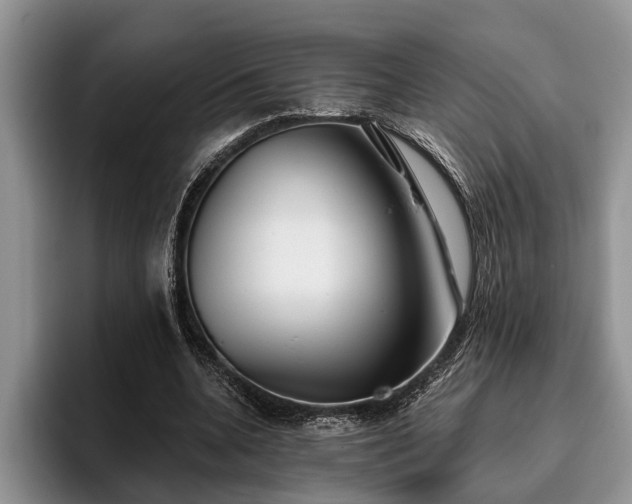 X0000095880536200801181207