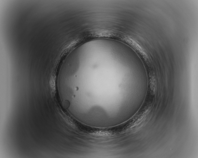 X0000095880537200801181207