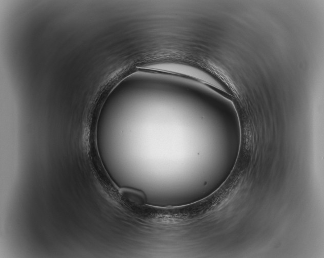 X0000095880538200801181207
