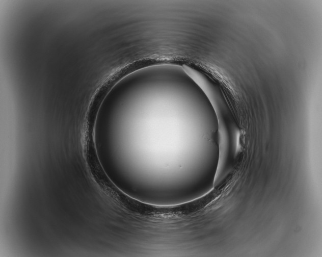 X0000095880540200801181207
