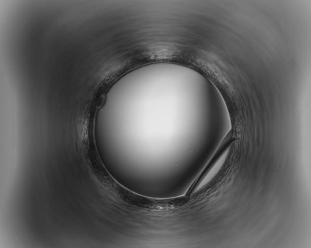X0000095880543200801181207