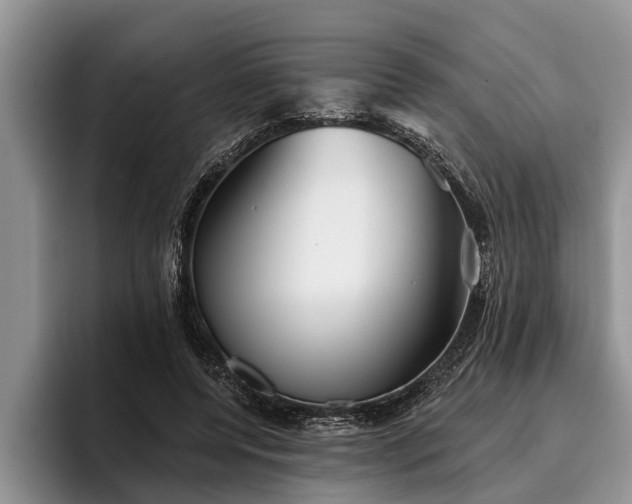 X0000095880544200801181207