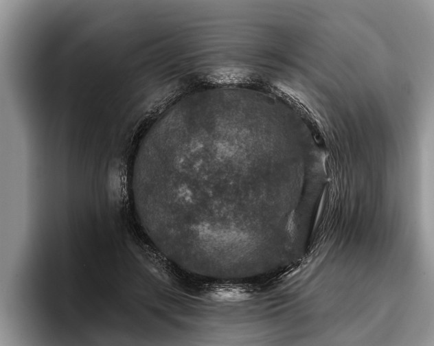 X0000095880547200801181208