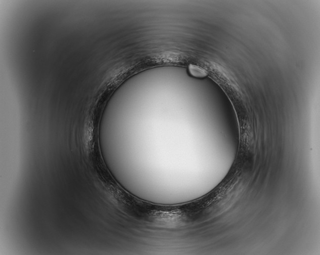X0000095880548200801181208