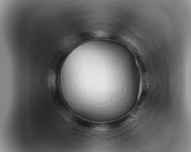 X0000095880550200801181208