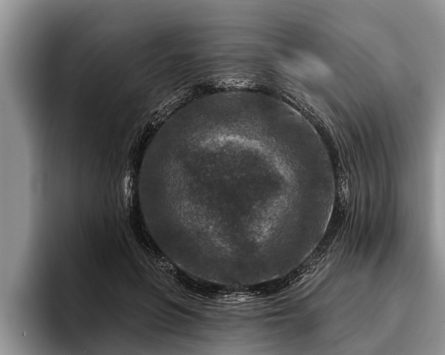 X0000095880551200801181208