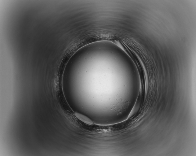 X0000095880552200801181208