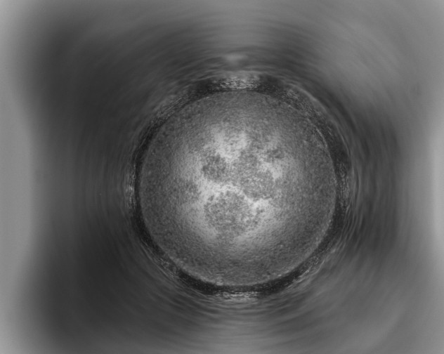 X0000095880553200801181208