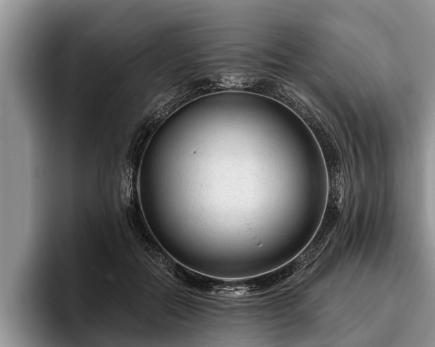 X0000095880554200801181208