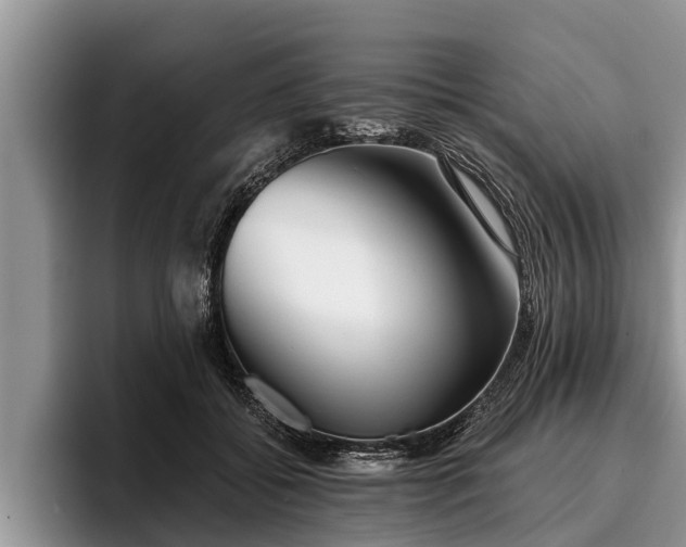 X0000095880556200801181208