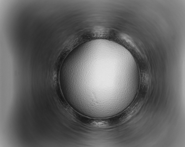 X0000095880557200801181208