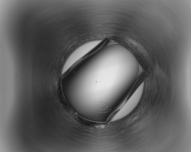 X0000095880558200801181208