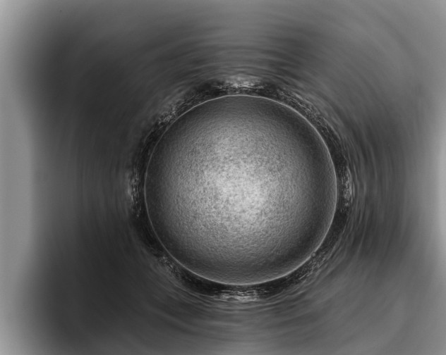 X0000095880559200801181208