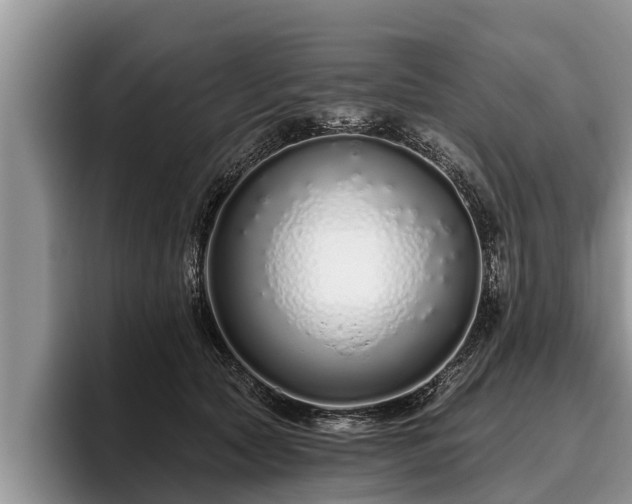 X0000095880561200801181208