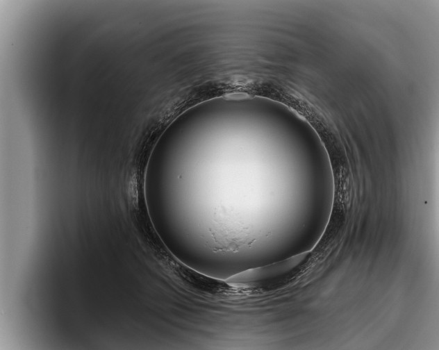 X0000095880562200801181208