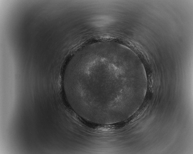 X0000095880563200801181208