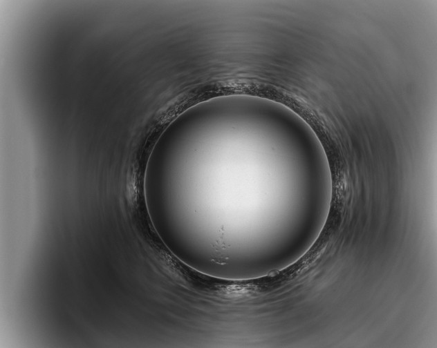 X0000095880566200801181208