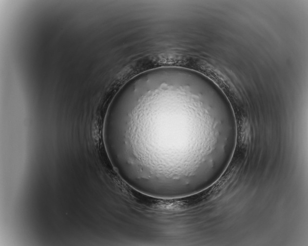 X0000095880569200801181208