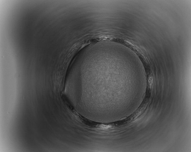 X0000095880570200801181208