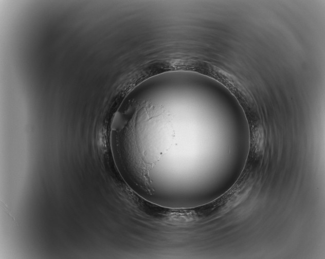 X0000095880571200801181208