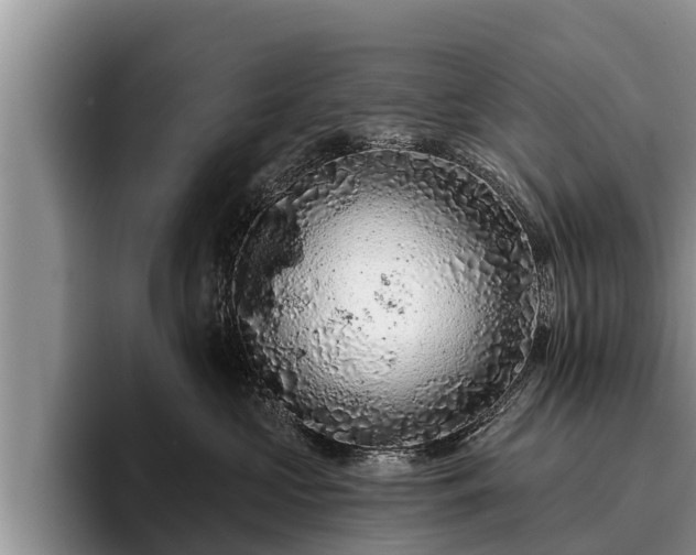 X0000095880573200801181208
