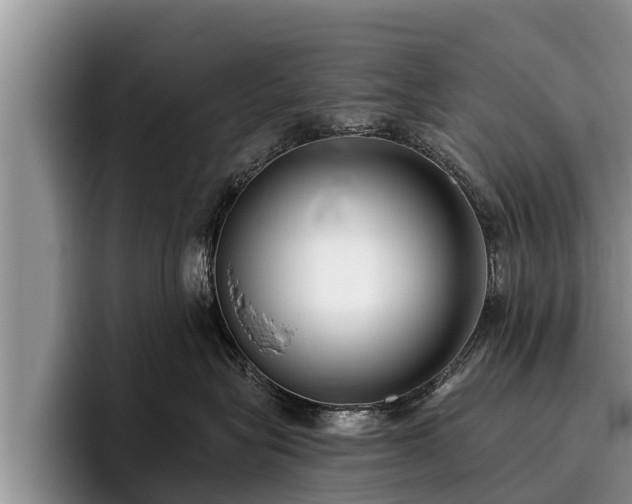 X0000095880575200801181208