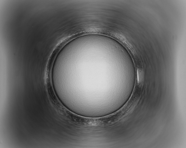 X0000095880579200801181207