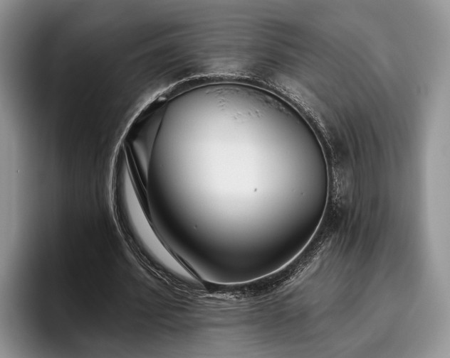 X0000095880580200801181207
