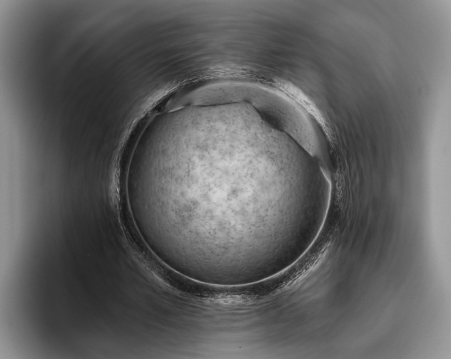 X0000095880581200801181207