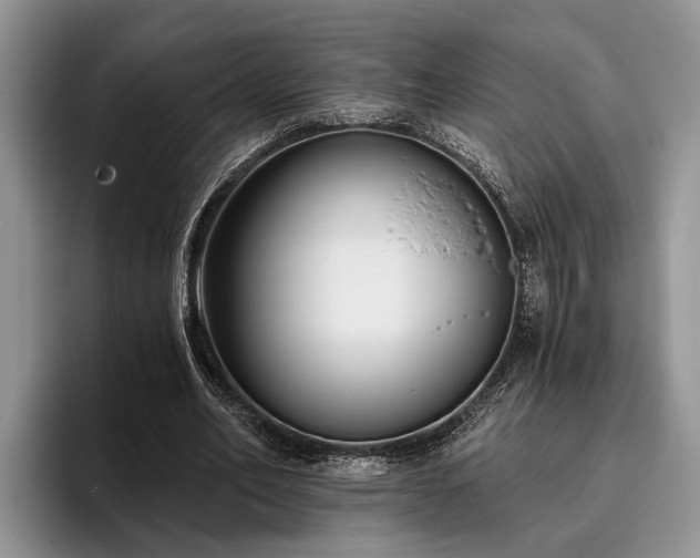 X0000095880582200801181207