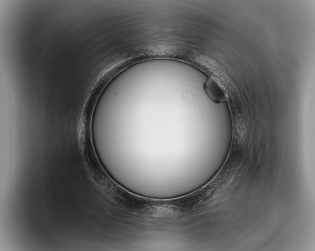 X0000095880583200801181207