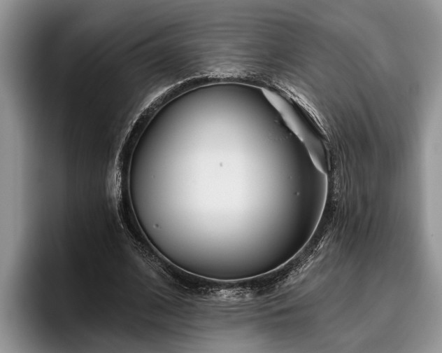 X0000095880584200801181207