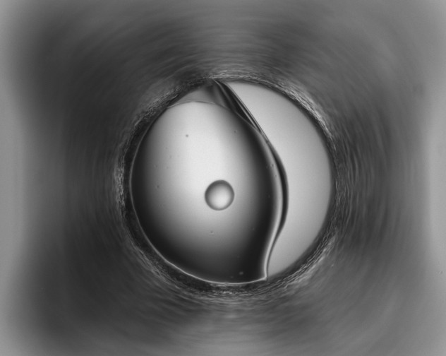 X0000095880585200801181207
